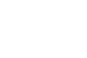 The Guardian