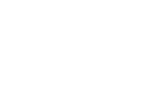 The Telegraph